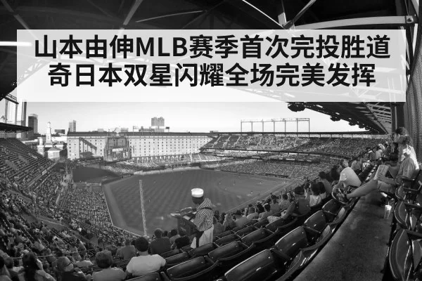 baseball stadium crowd